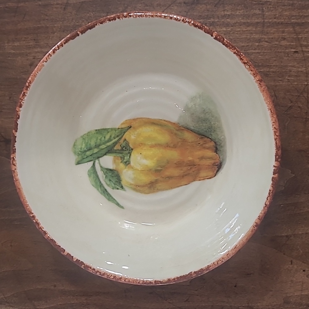 EUC Williams Sonoma Jardin Potager Tomatoes 9" Pasta Bowl